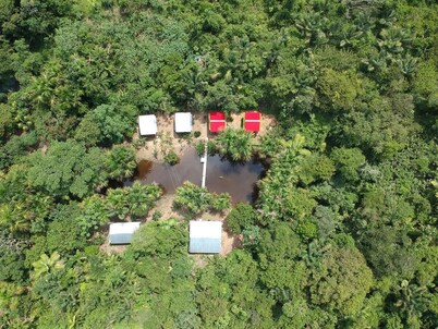 Friends of The Amazon Jungle Lodge