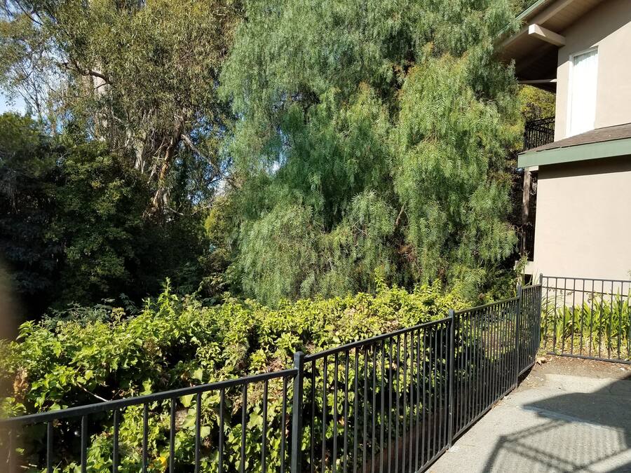 Vue depuis l’hébergement