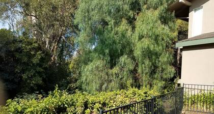 Olive Tree Inn & Suites