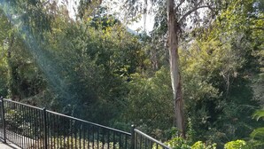 Une clôture métallique longe un sentier bordé d’une végétation luxuriante et d’arbres.