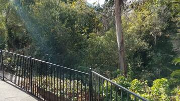 Vista desde la propiedad