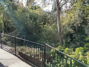 Vista da propriedade