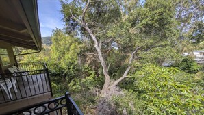 Un balcon donnant sur un arbre et la végétation environnante.