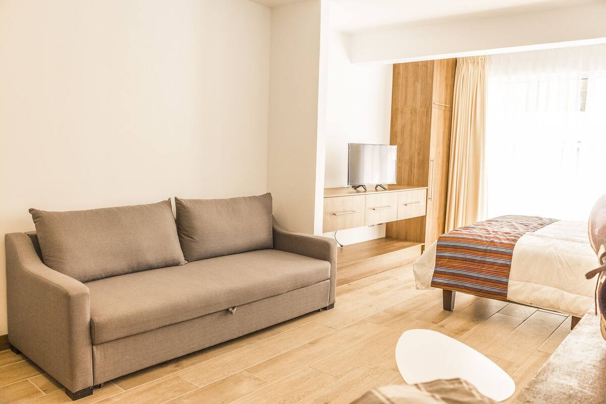 Standard Apartment, 1 King Bed with Sofa bed | Living area | Flat-screen TV