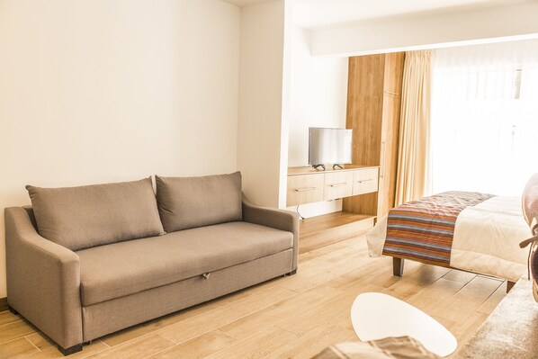 Standard Apartment, 1 King Bed with Sofa bed | Living area