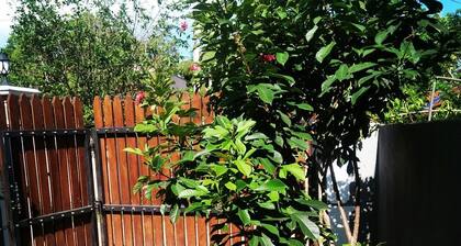 Vihara Safari Homestay