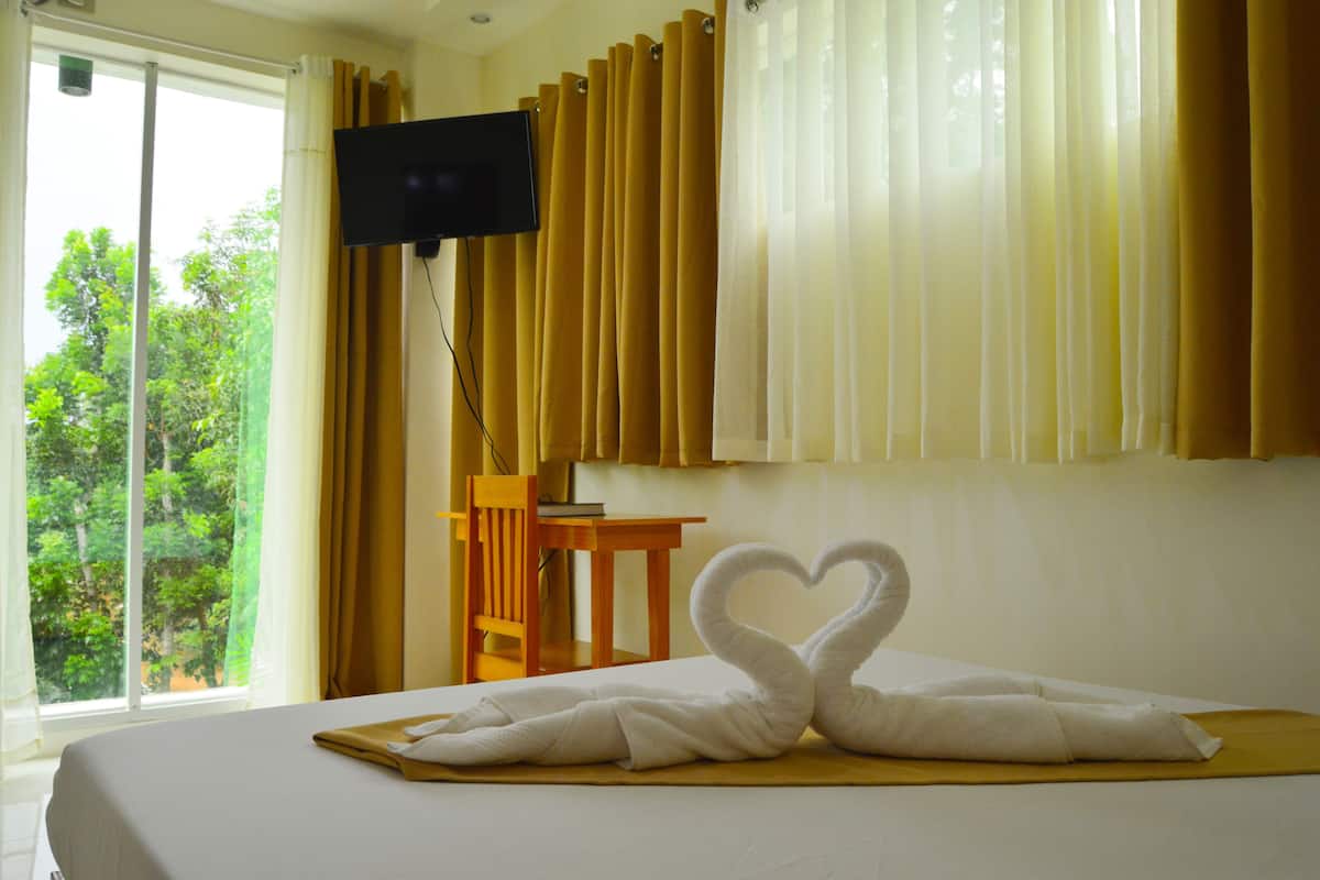 Single Room | View from room