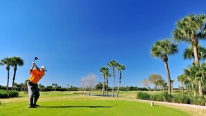 A golf course with a clear sky, palm trees, and a golfer in an orange shirt. - Tropical Waterview Mansion (Sarasota)