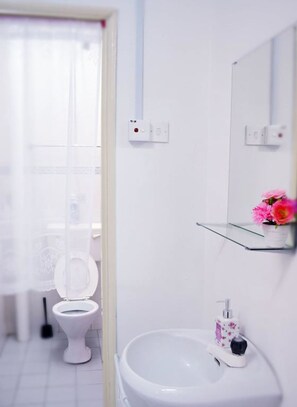 3-Bedroom House | Bathroom