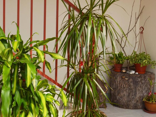 Property grounds - Manis-Manis Balinese Cottage (Malacca City)