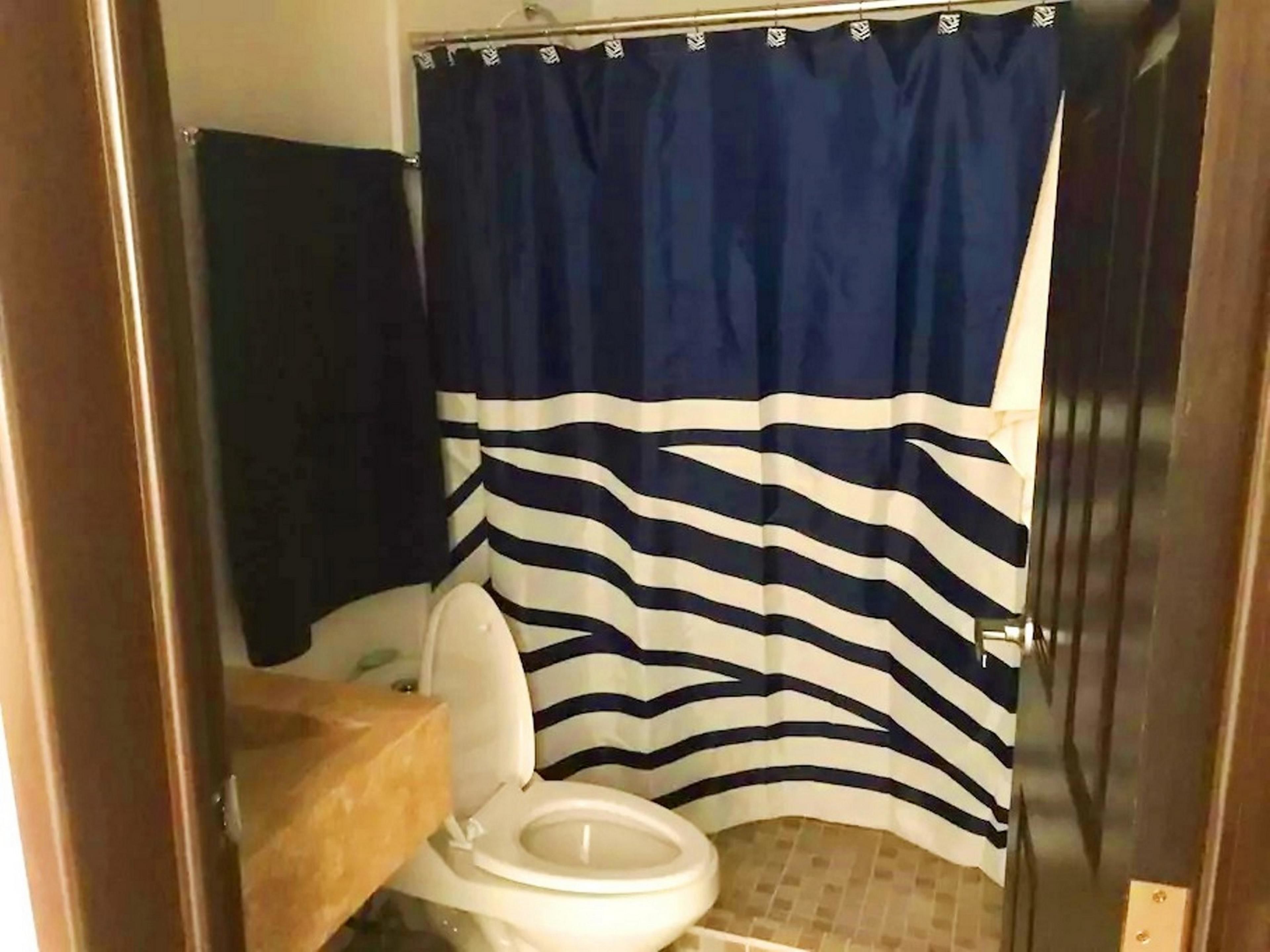 A bathroom with a white toilet, a shower curtain with a striped pattern, and a wooden door.