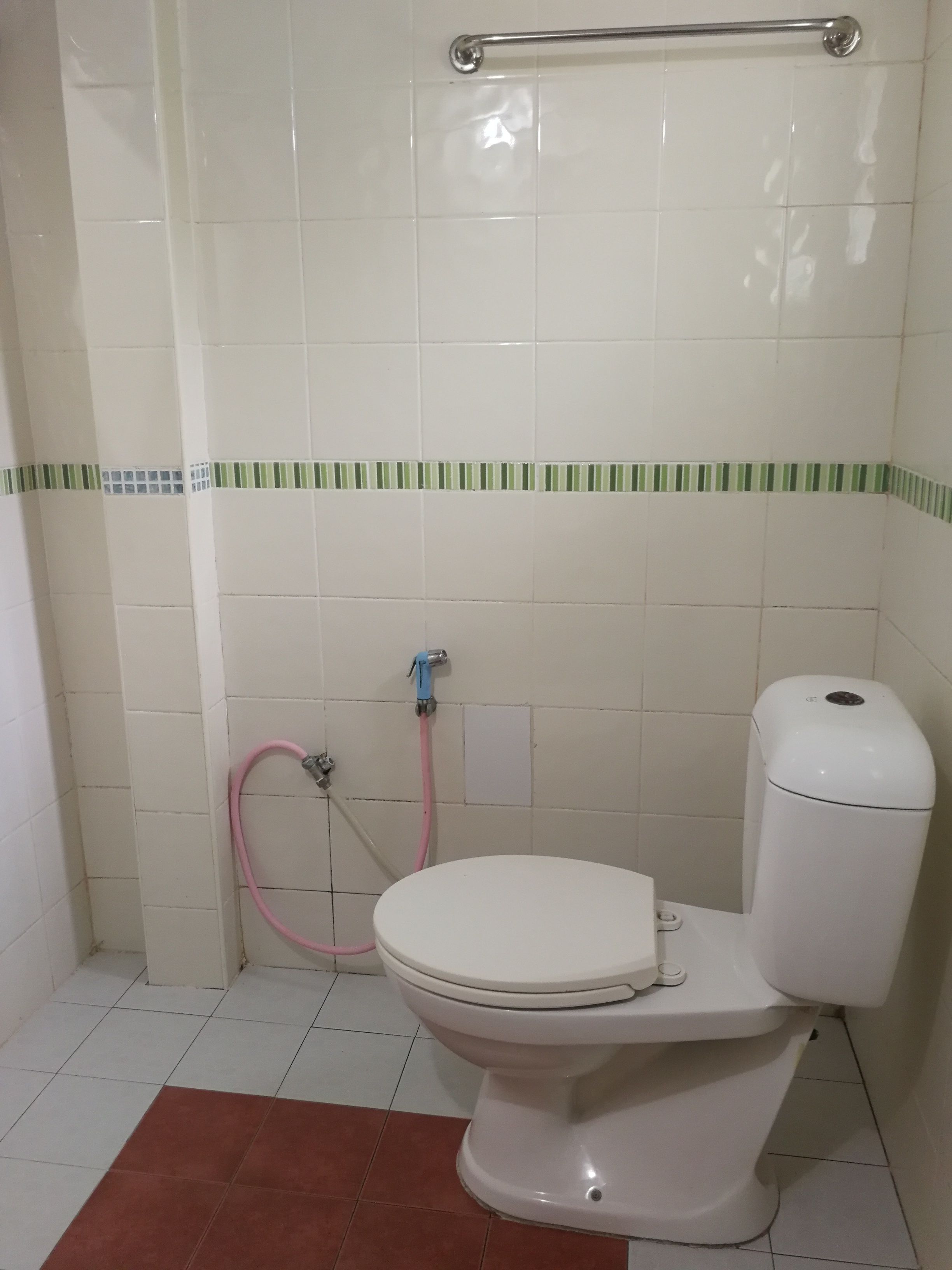 Un baño con inodoro, ducha y barra de apoyo.