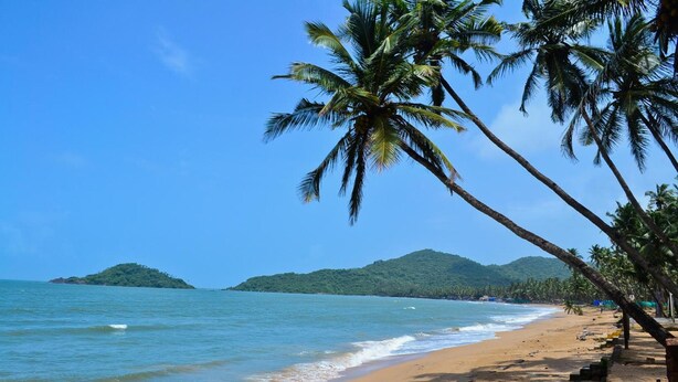 A beach with palm trees and a clear blue sky. - Hilias Retreat (Canacona)