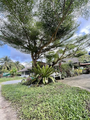 Standard-herbergi | Verönd/útipallur