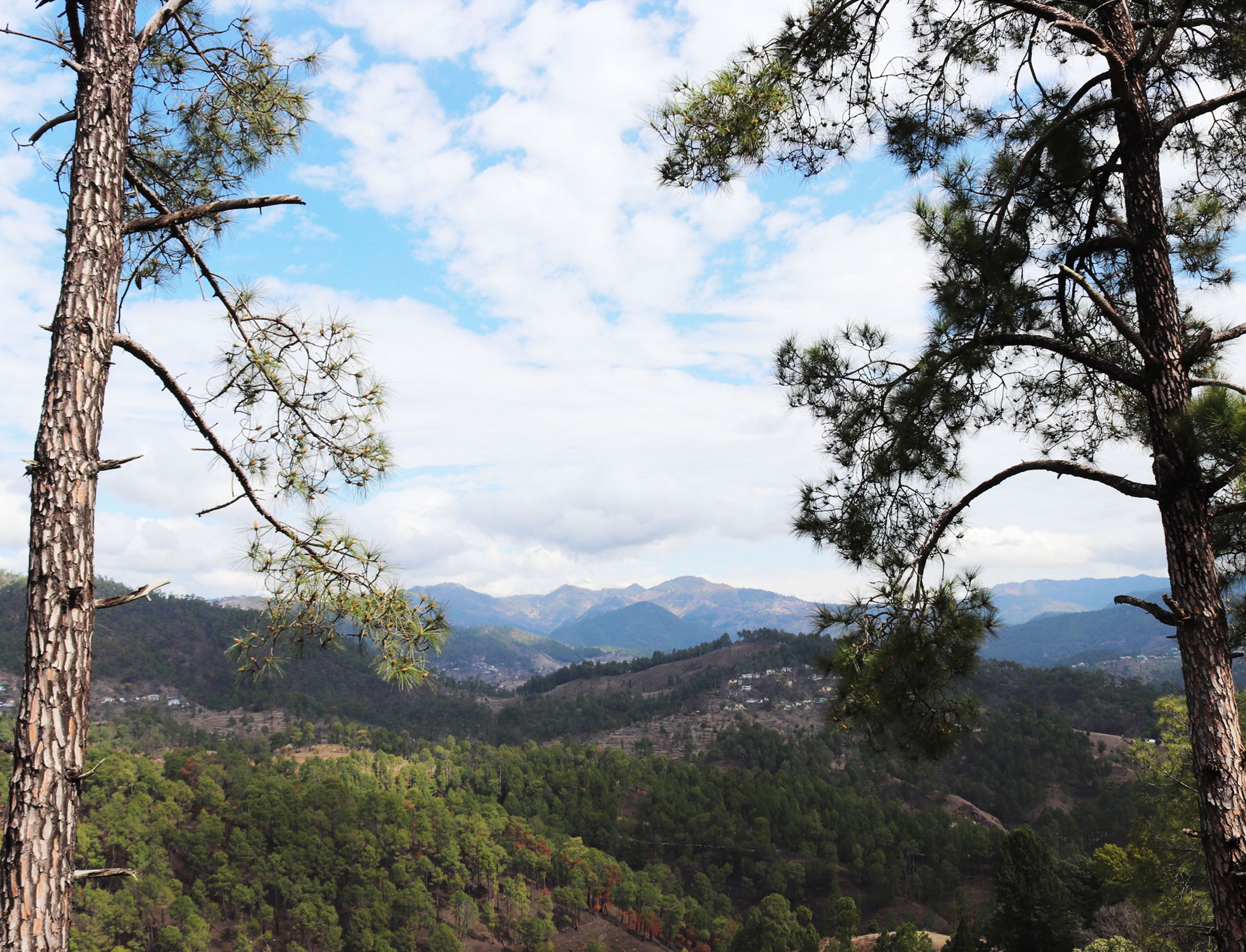 Un paysage montagneux, avec une forêt dense et un ciel dégagé.