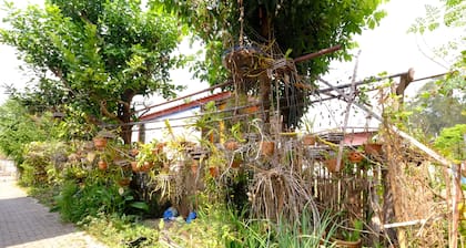 Ban Muang Pon Home Stay