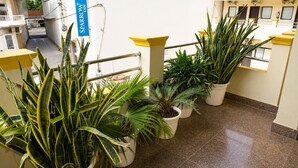 A hotel corridor with potted plants and a sign for Sparrow Inn. - Hotel Atlantic (Alwar)