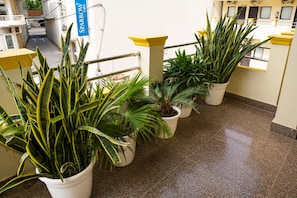 A hotel corridor with potted plants and a sign for Sparrow Inn. - Hotel Atlantic (Alwar)