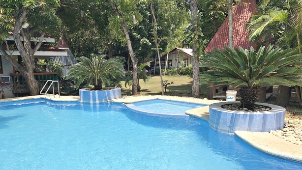 Une piscine au design incurvé, entourée de palmiers et agrémentée d’un petit jardin.