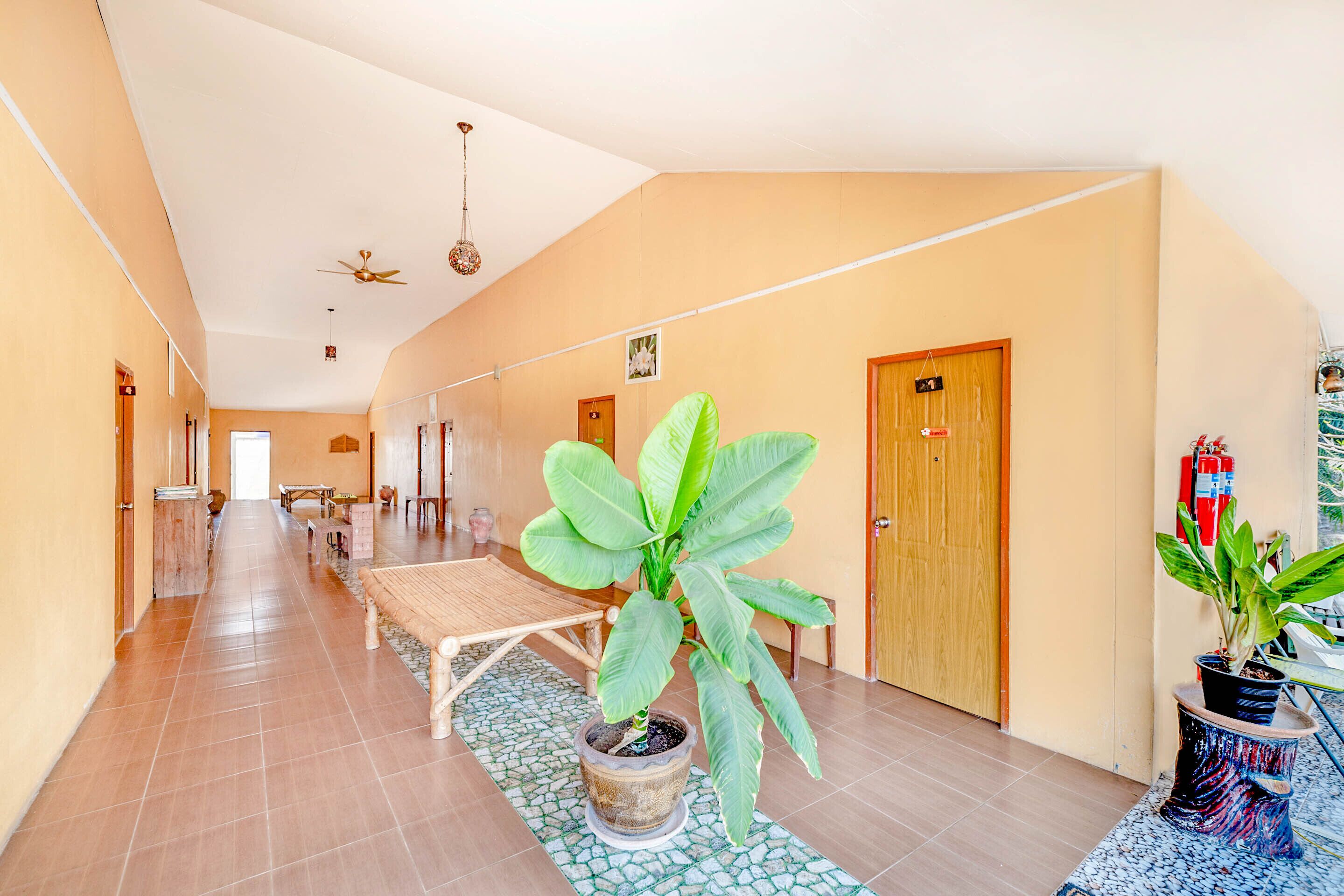 A hotel corridor with a large potted plant, a bench, and a fire extinguisher on the wall.