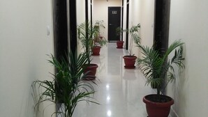 Un pasillo largo y estrecho con paredes blancas y suelo de baldosas. Varias plantas en macetas se distribuyen a lo largo del pasillo. En un lado hay una serie de puertas y en el techo, una lámpara.