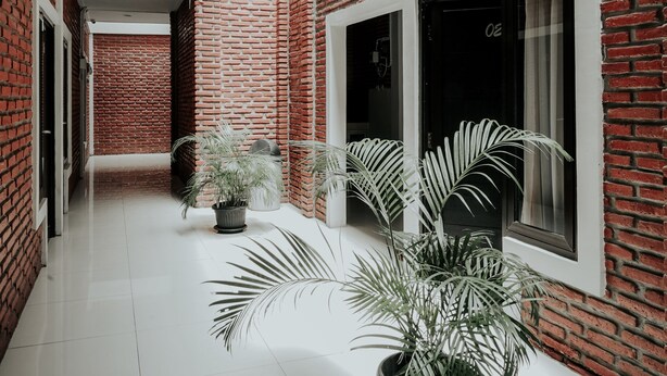 Un couloir aux murs de briques, doté de grandes fenêtres et agrémenté de plantes en pot.