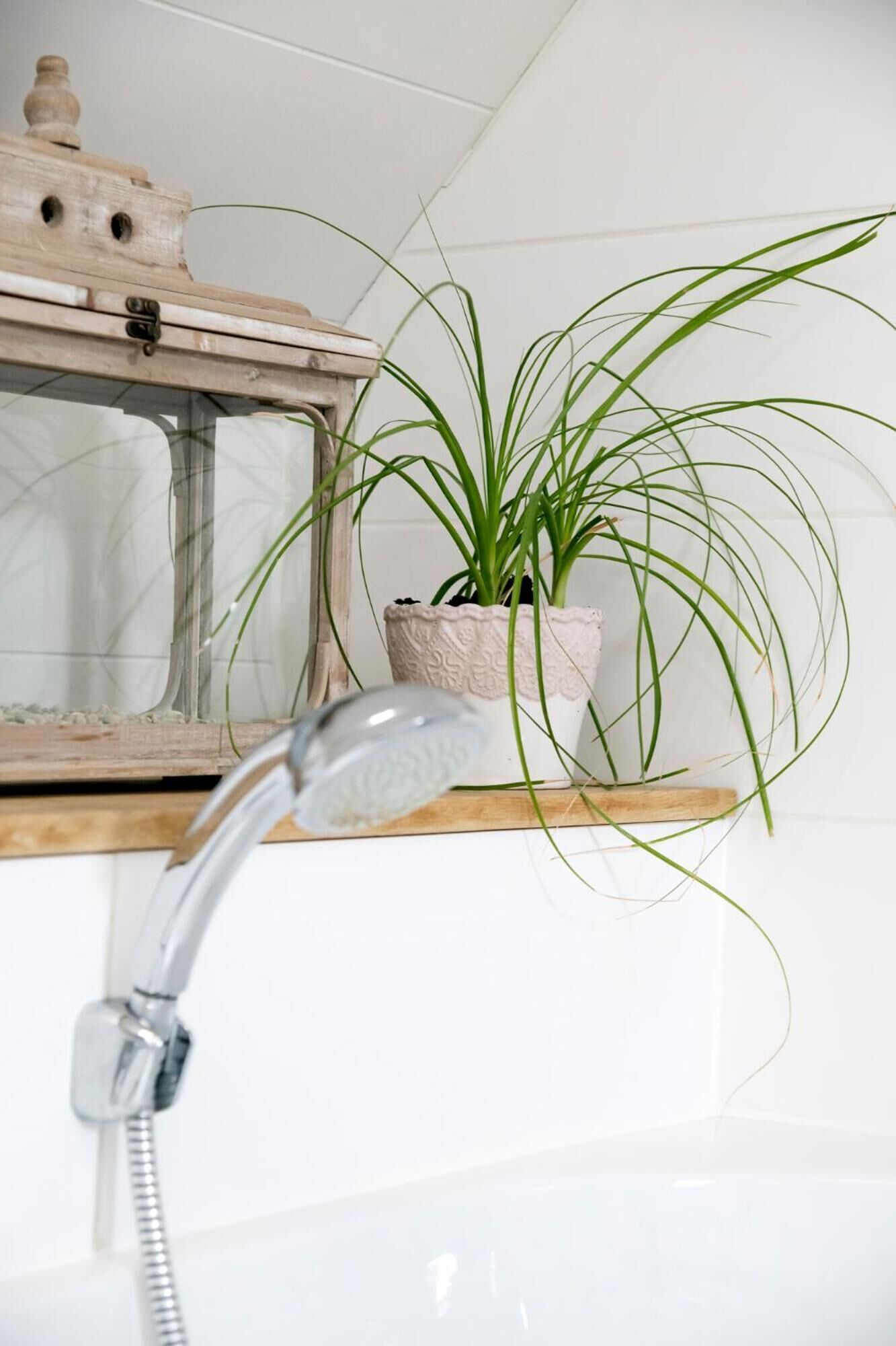 Een badkamer met een douche, een houten plankje met een plant in pot, en een decoratieve spiegel.