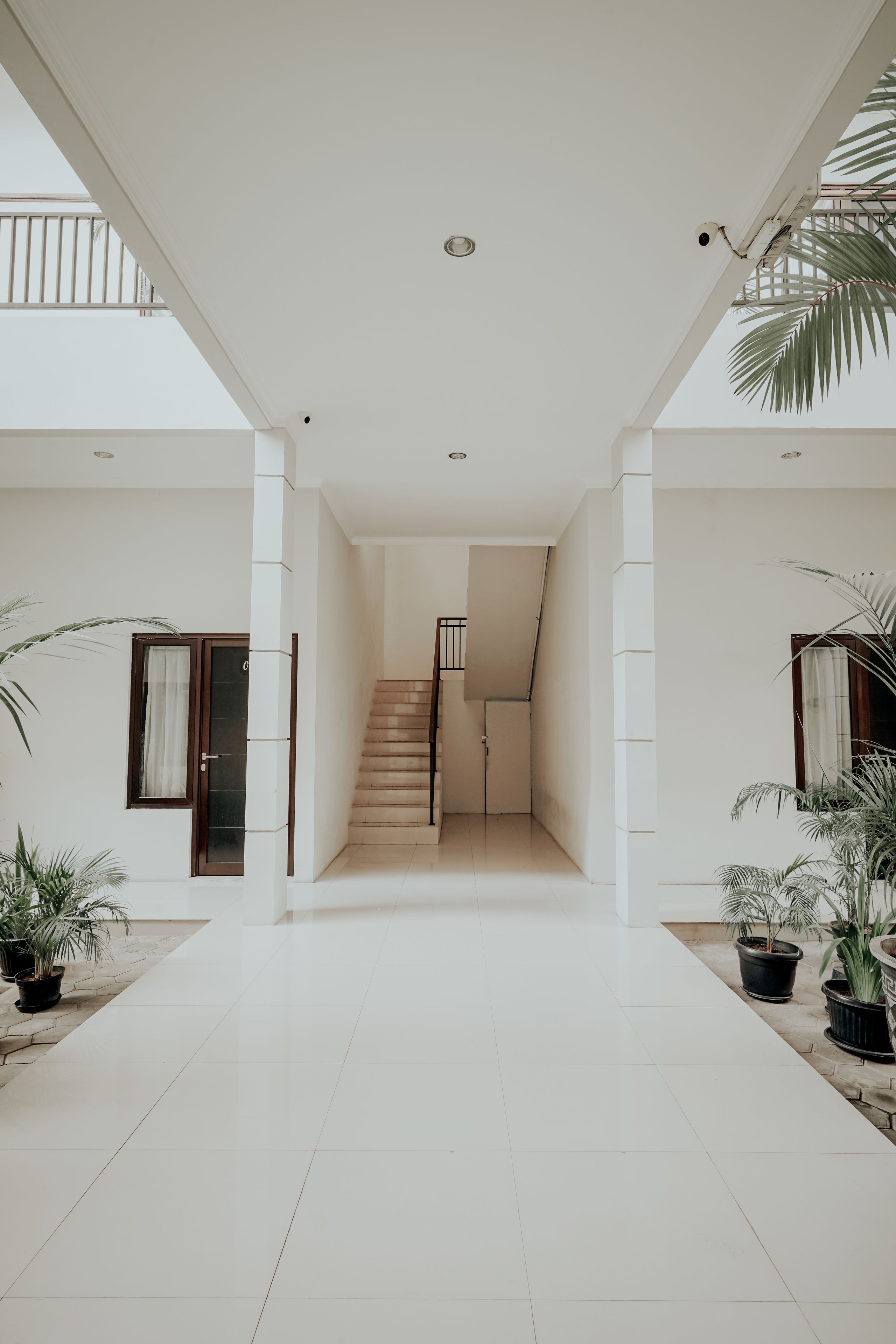 Foto - D'Paragon Flamboyan