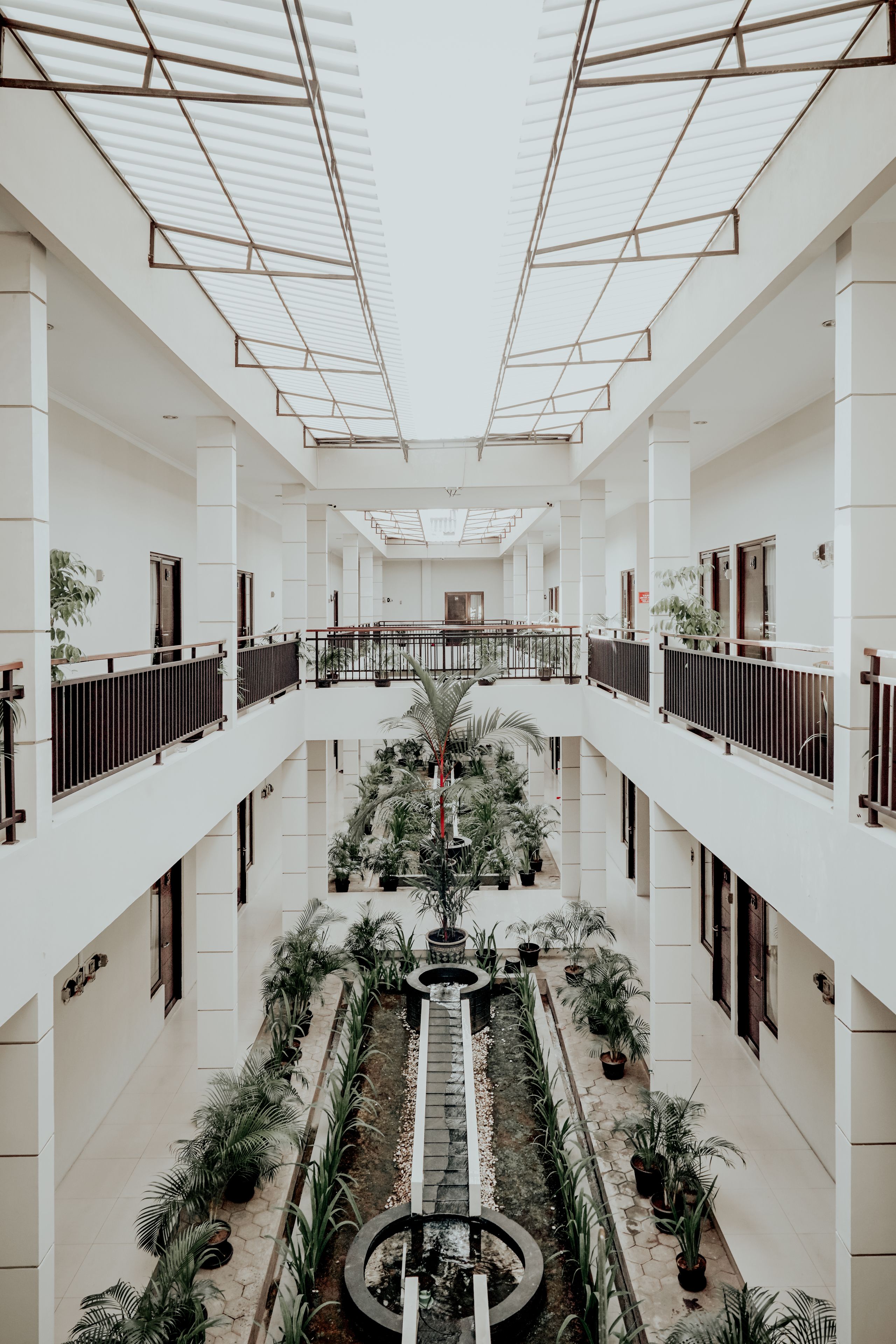 Foto - D'Paragon Flamboyan