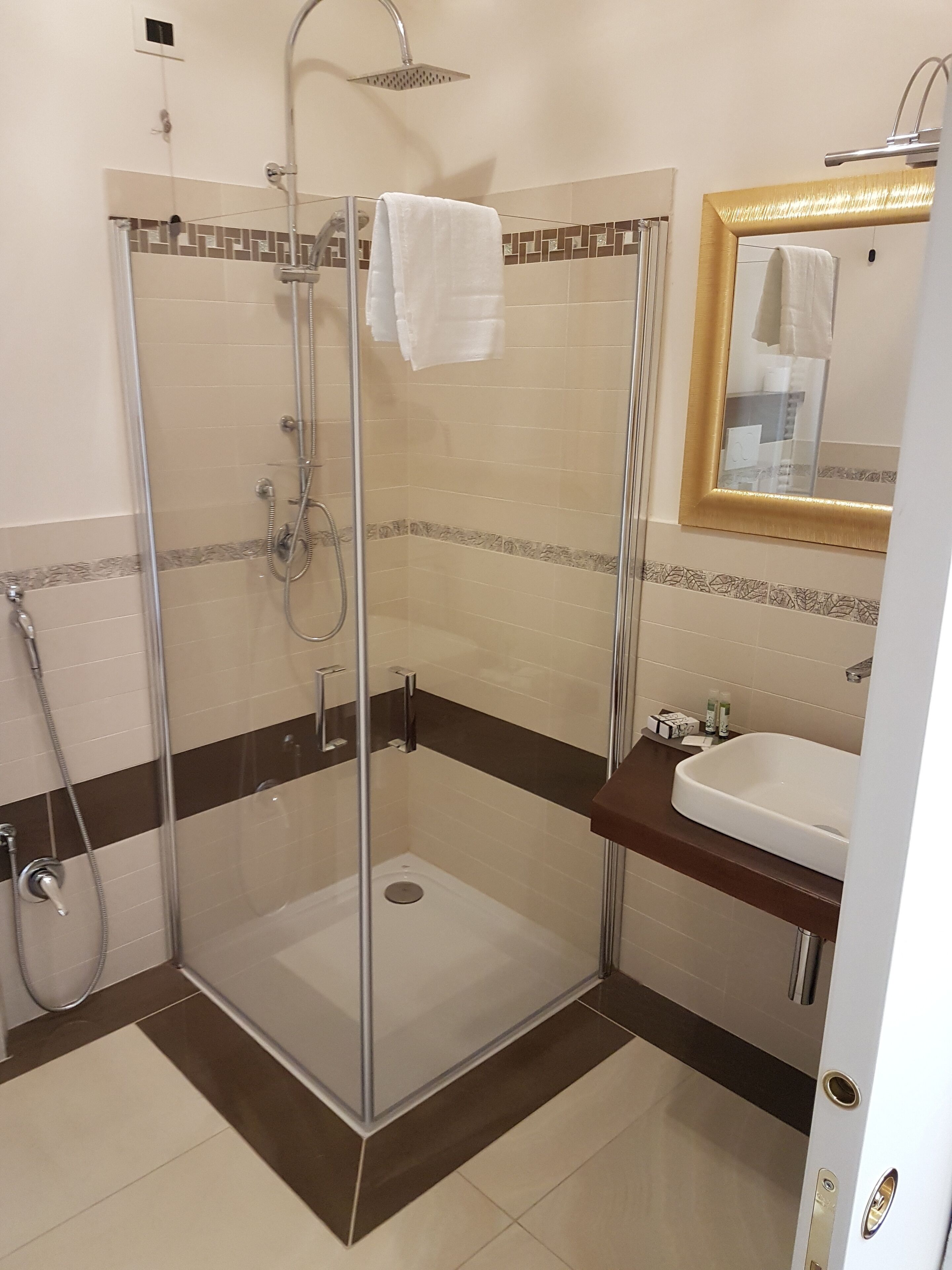 Box doccia in vetro con soffione a mano, portasci a parete e lavabo bianco con specchio sopra.