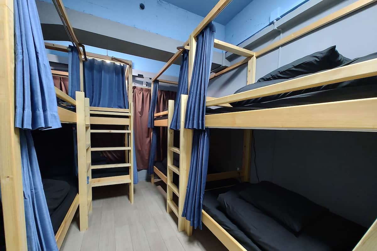 Dortoir Partagé Confort, dortoir mixte, non-fumeur (One Bed in 12-Bed)