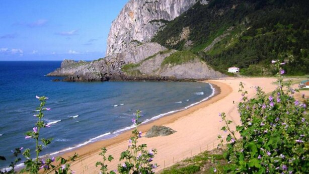 A coastal beach with a large cliff, sandy shore, and some vegetation in the foreground. - Hotel Ibaigune (Murueta)