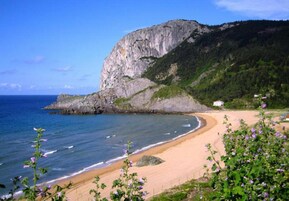 Una playa costera con un acantilado imponente, orilla arenosa y algo de vegetación al frente.