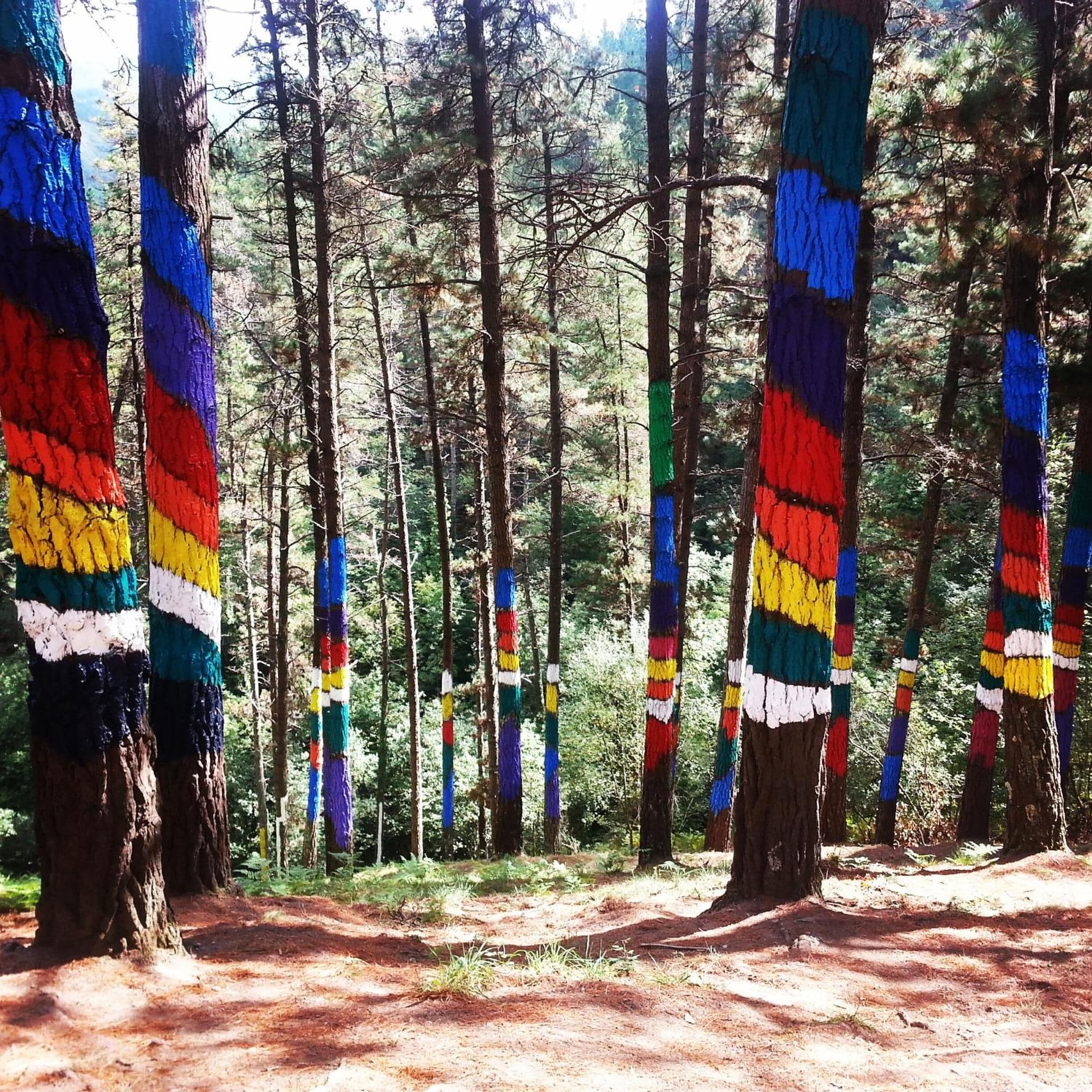 Foto - Hotel Ibaigune