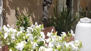 A garden with white flowers, a tree, and a stone wall. - Mas Roussillon (Roussillon)