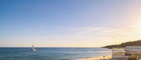 A beach with rows of blue sun loungers and a sailboat in the water.