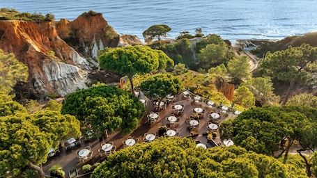 Pine Cliffs Gardens