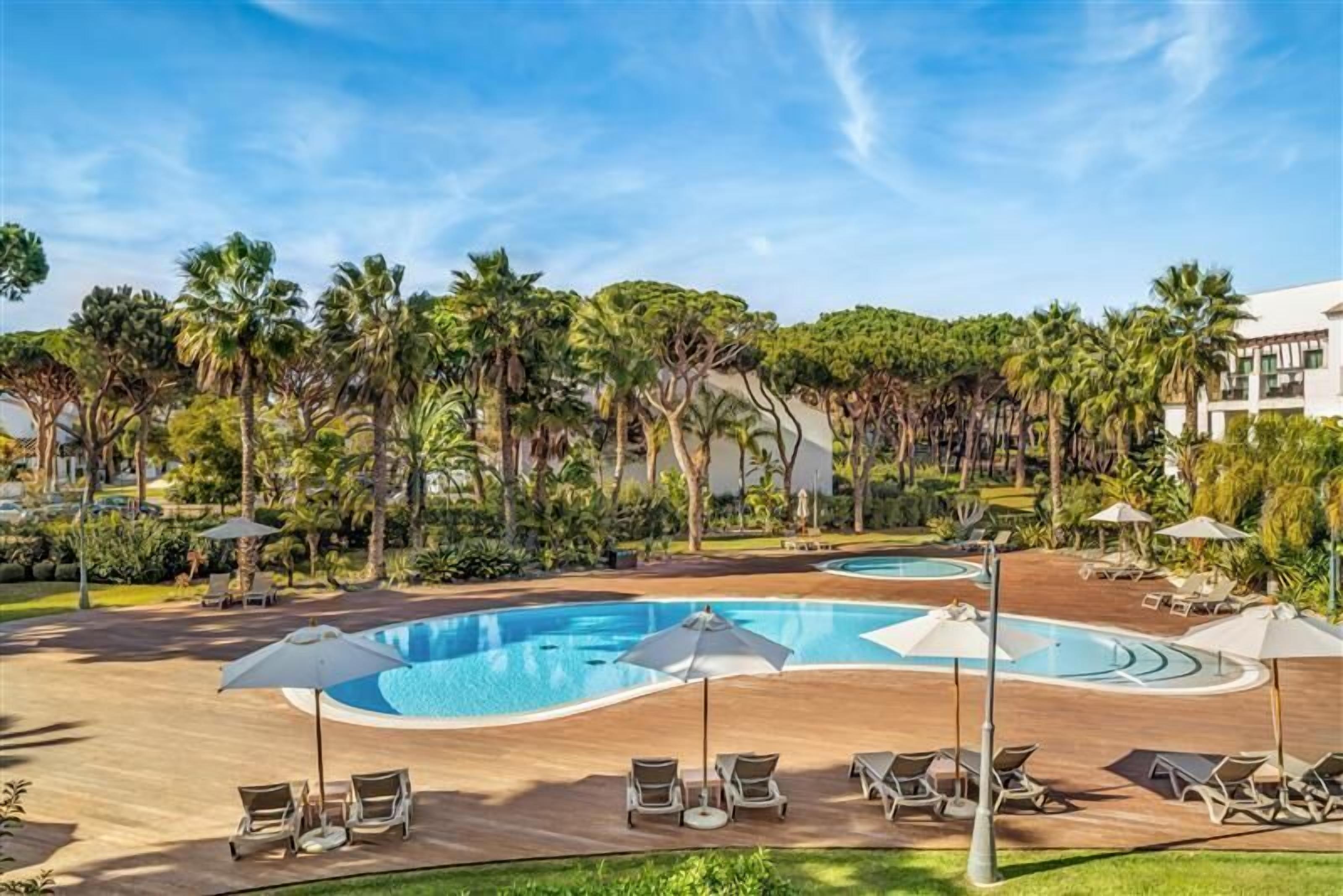 Zona de piscina con sillones reclinables y sombrillas, rodeada de palmeras y vegetación.