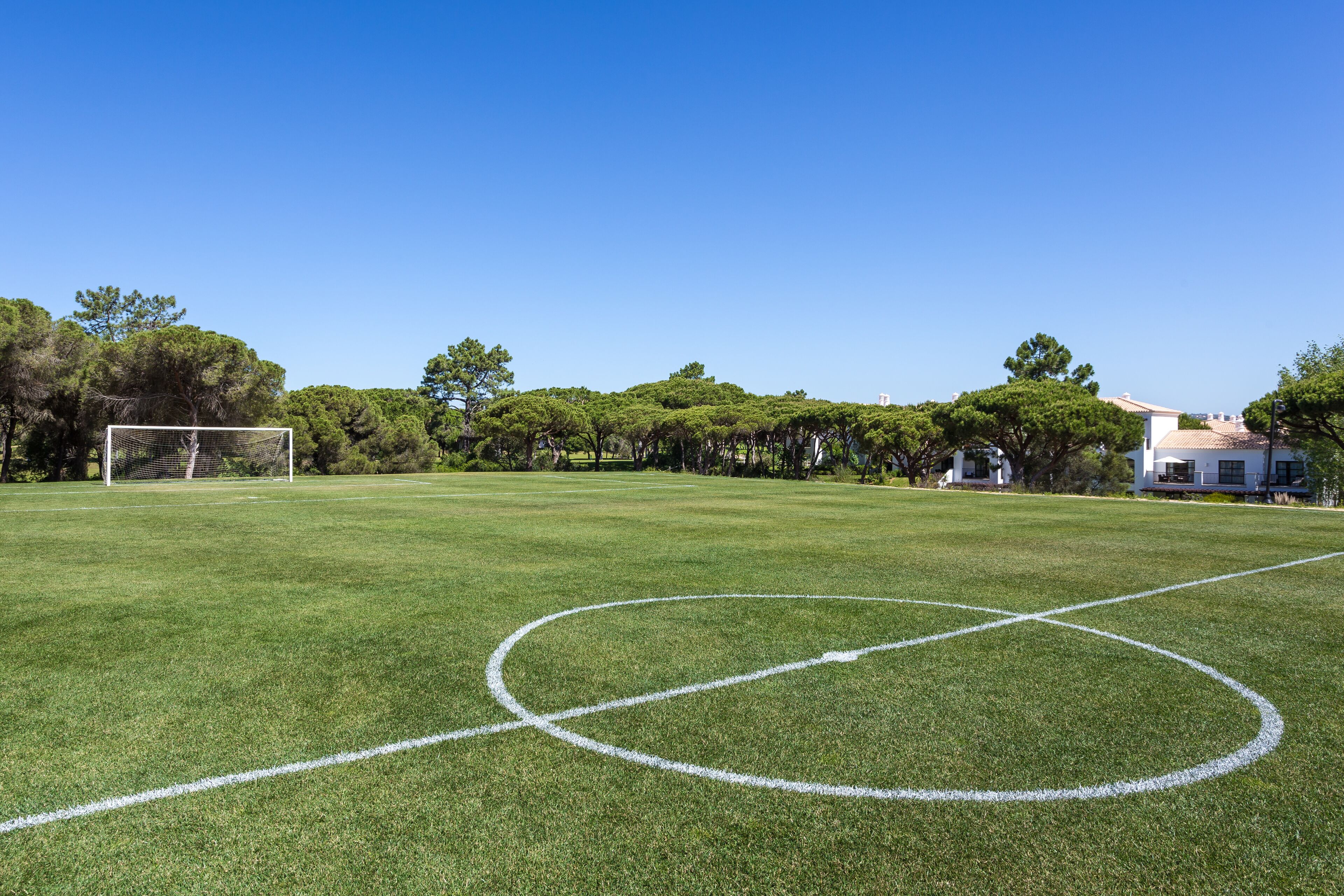 Een verzorgd grasveld met een voetbaldoel, omringd door bomen en een gebouw op de achtergrond.