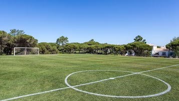 Een verzorgd grasveld met een voetbaldoel, omringd door bomen en een gebouw op de achtergrond.