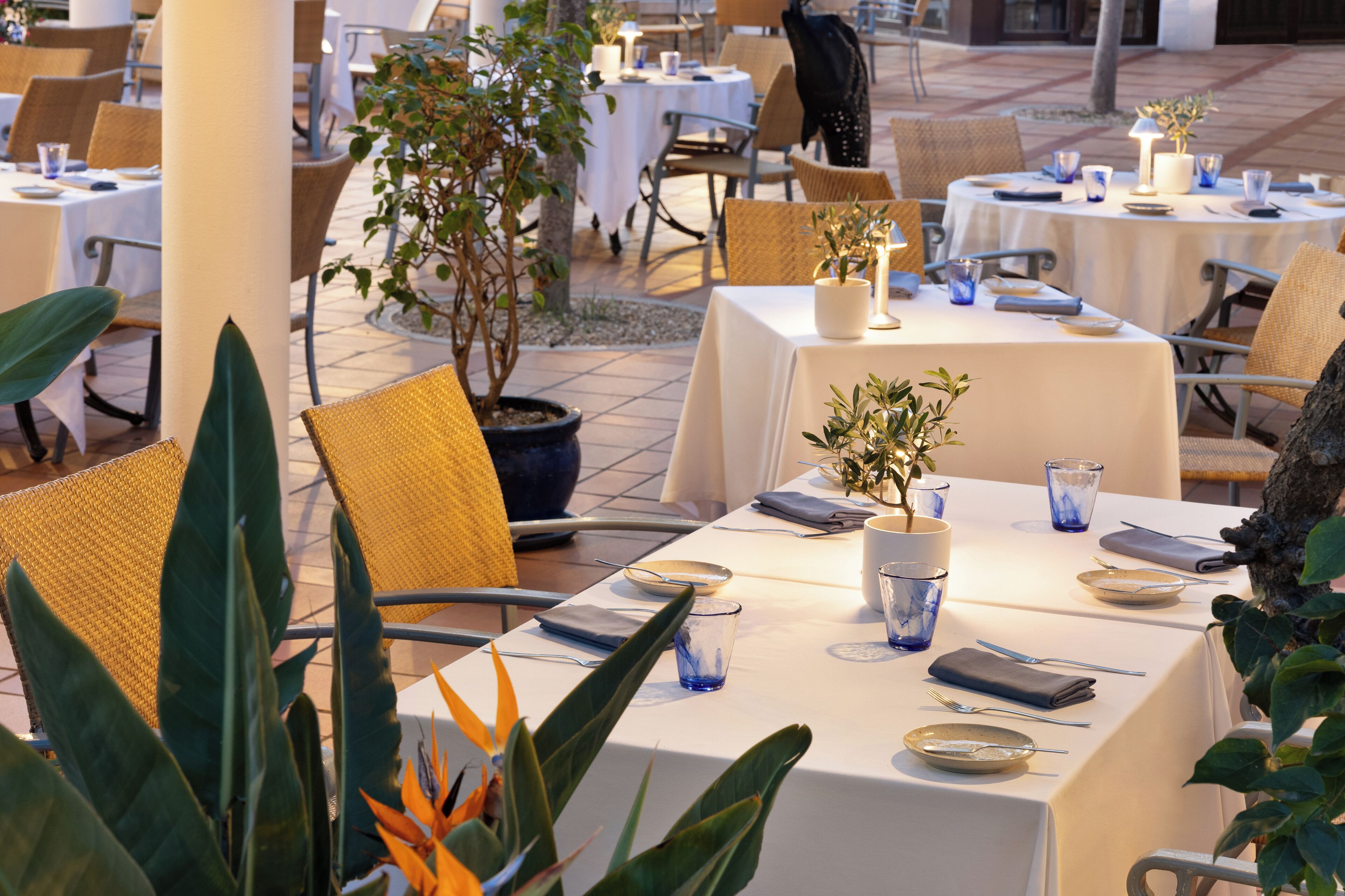An outdoor dining area with tables set for two, surrounded by chairs and potted plants.