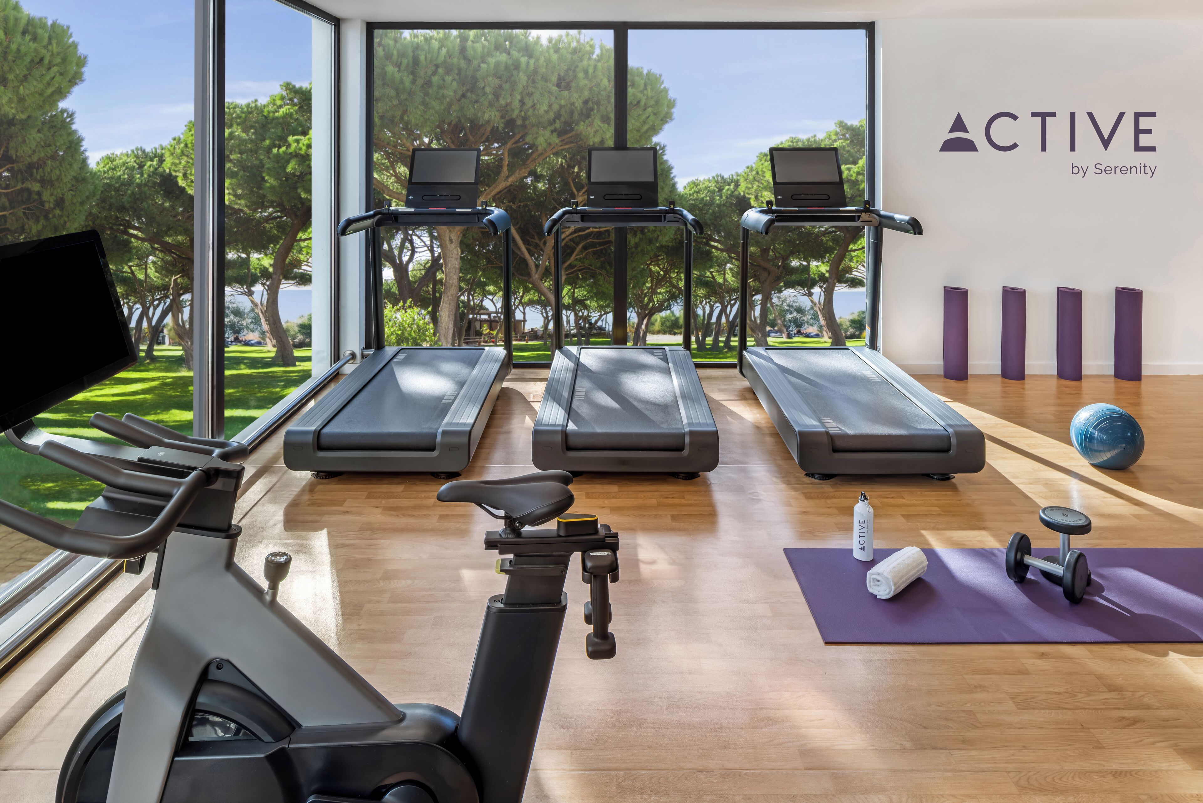 A gym with treadmills, an elliptical, and a yoga mat with weights.