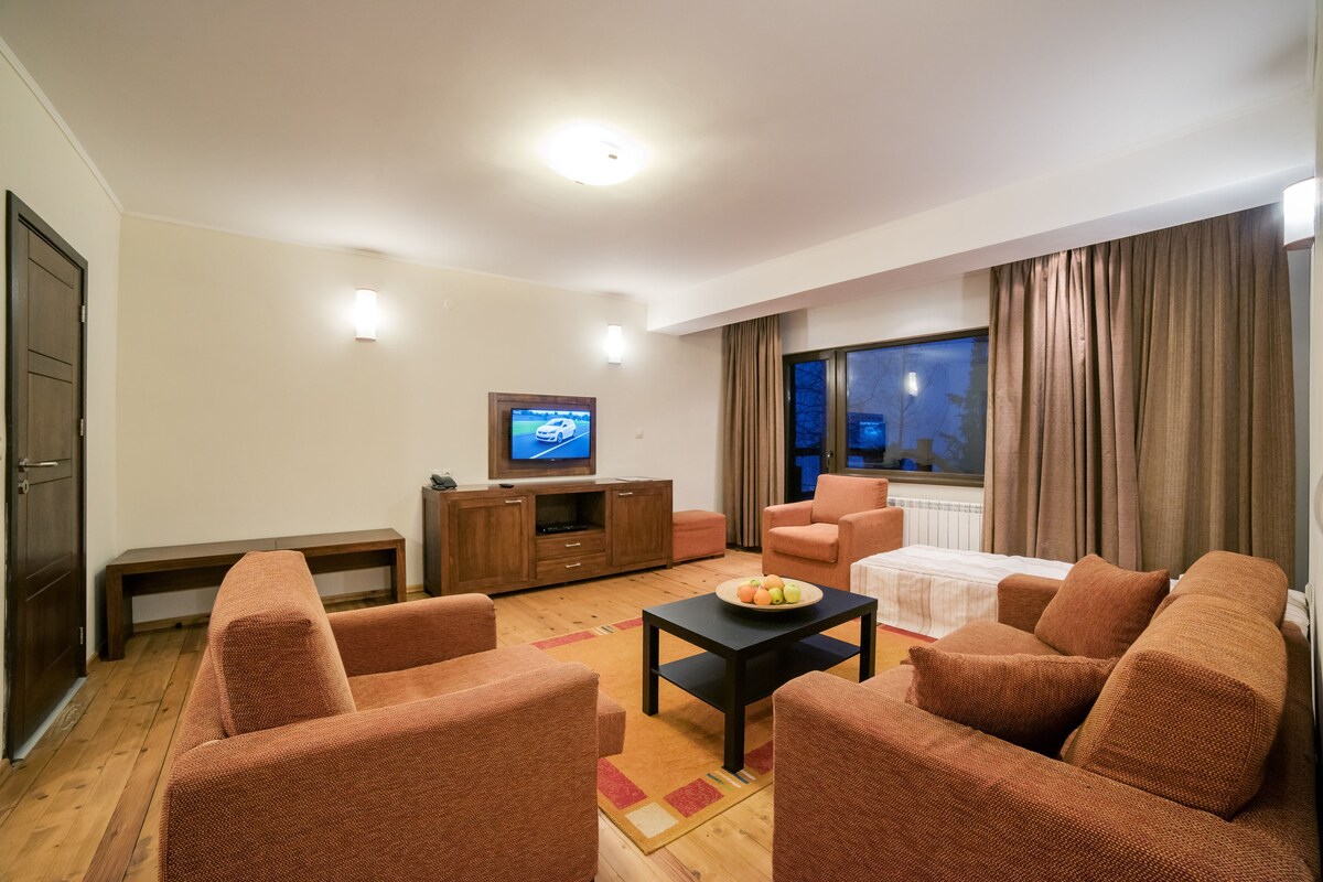Apartemen | Minibar, meja kerja, setrika/meja setrika, dan tempat tidur bayi gratis