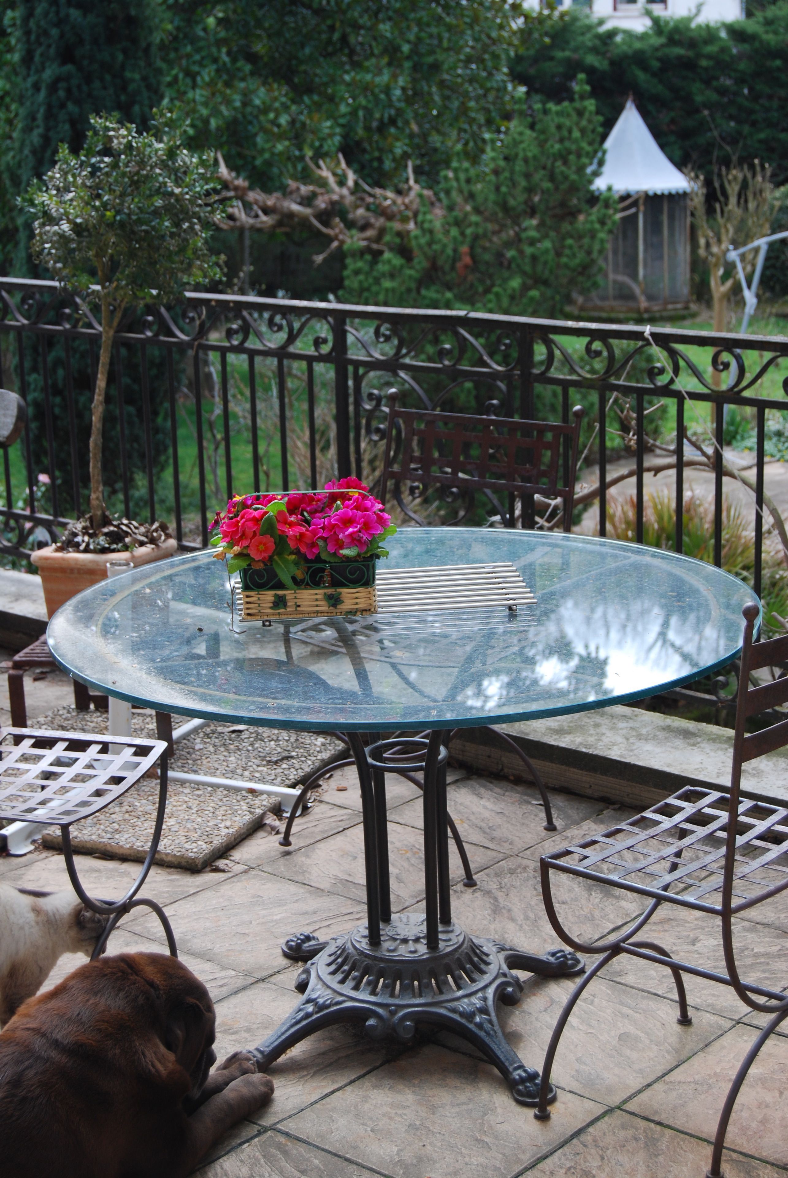 A round glass table with a metal base, surrounded by metal chairs, in an outdoor patio area with potted plants and a dog lying on the ground.