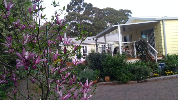 A yellow building with a covered porch and a staircase leading to a deck. - The Best Exotic Magnolia Cottage (Bundanoon)