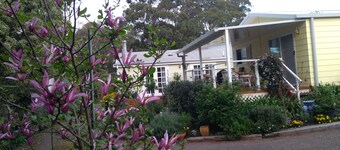 The Best Exotic Magnolia Cottage