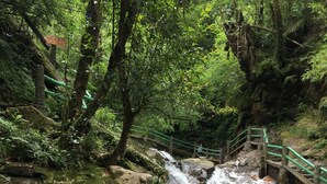 A person sitting on a rock by a waterfall in a forested area. - Freedom Homestay (Ta Van)