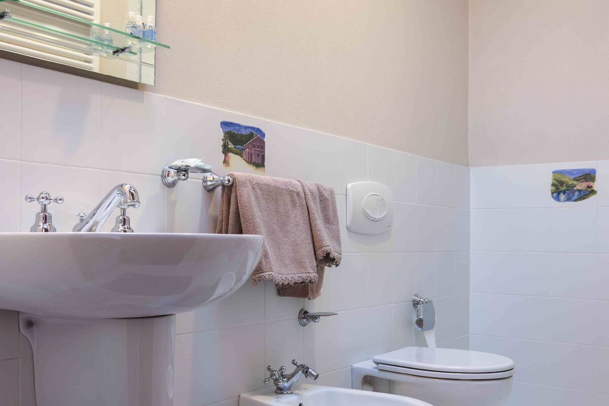 Hair dryer, bidet, towels