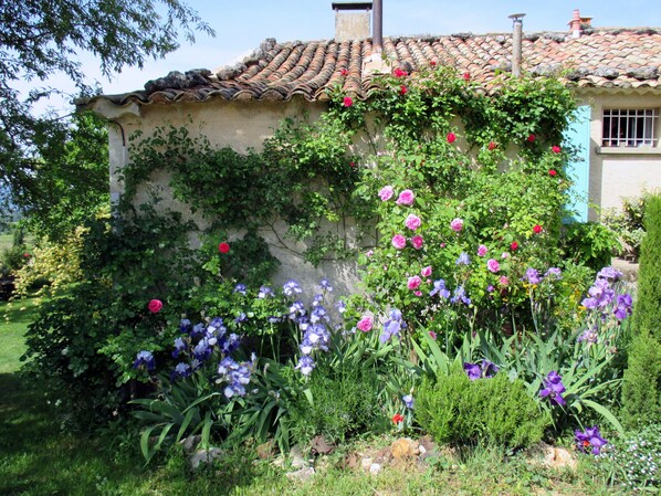 Front of property - Le Mas Du Fort  (Gargas)