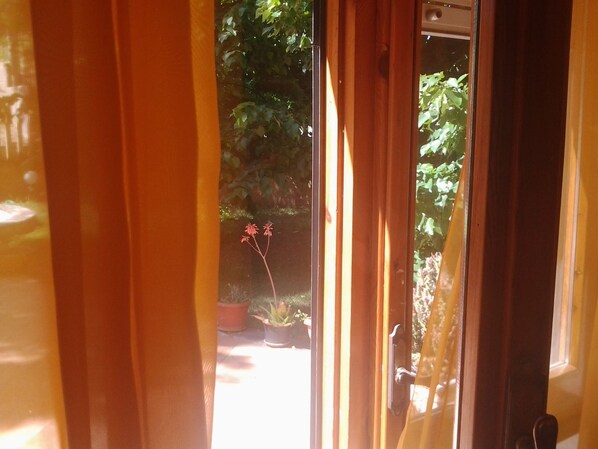 A view through a window with curtains, revealing a garden with potted plants and a small red flower. - Villa Cardinal Apartments (Tivoli)